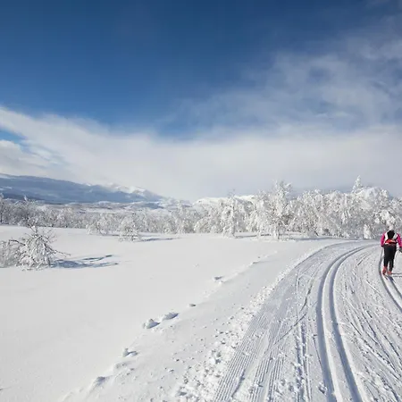 Ideal For Skiing Near Stadium *