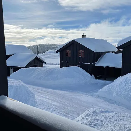 Ideal For Skiing Near Stadium Feriehus Beitostolen
