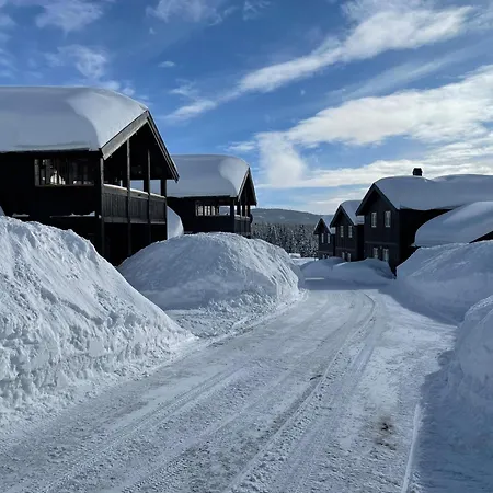Feriehus Ideal For Skiing Near Stadium Beitostolen